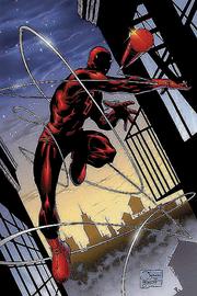 Cover of: Daredevil Visionaries