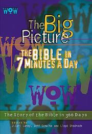Cover of: WOW-- the big picture: the Bible in 7 minutes a day
