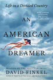 Cover of: American Dreamer: Life in a Divided Country