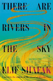 Cover of: There Are Rivers in the Sky: A Novel