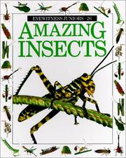 Cover of: Eyewitness Jr Amazing Insects (Eyewitness Juniors) by 