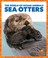 Cover of: Sea Otters