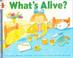 Cover of: What's Alive?