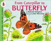 Cover of: From Caterpillar to Butterfly by Deborah Heiligman