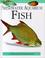 Cover of: Freshwater Aquarium Fish