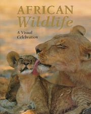 Cover of: African Wildlife: A Visual Celebration