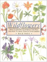 Cover of: Wildflowers: How to Identify Flowers in the Wild and How to Grow Them in Your Garden