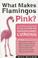 Cover of: What Makes Flamingos Pink?