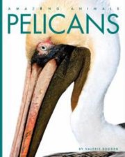 Cover of: Pelicans