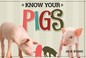 Cover of: Know your pigs