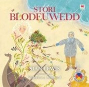 Cover of: Stori Blodeuwedd