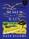 Cover of: Museum of Rain