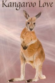 Cover of: Kangaroo Love 1  Very Cute Animal Themed Journal Notebook, Graphics Interior, Pretty Back Cover: A Fun Present Gift For Kangaroo Lovers Kids Teens Adults! This Cover Is Available In Sizes S-M-L