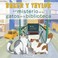 Cover of: Misterio de Los Gatos de la Biblioteca (the Mystery of the Library Cats)