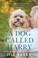 Cover of: Dog Called Harry