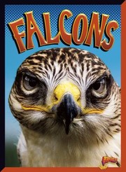 Cover of: Falcons by Lydia Lukidis