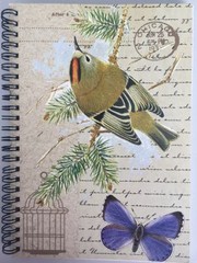 A5 Spiral N/Pad-Goldcrest