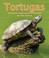 Cover of: Tortugas