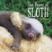 Cover of: Power of Sloth One Shot