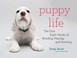 Cover of: Puppy Life