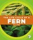 Cover of: Life Cycle of a Fern