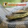 Cover of: All about South American Anacondas