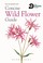 Cover of: Concise Wild Flower Guide