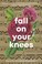 Cover of: Fall On Your Knees