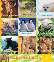 Cover of: Baby Animals in the Wild
