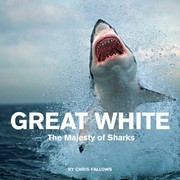 Cover of: Great White: The Majesty of Sharks