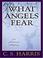 Cover of: What angels fear