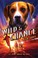 Cover of: Wild & Chance