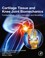 Cover of: Cartilage Tissue and Knee Joint Biomechanics