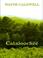 Cover of: Cataloochee