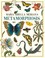 Cover of: Maria Sibylla Merian's Metamorphosis