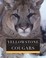 Cover of: Yellowstone Cougars