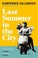 Cover of: Last Summer in the City