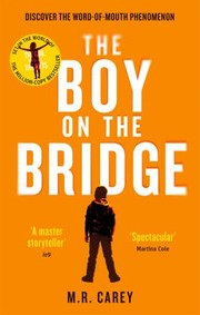 Cover of: Boy on the Bridge