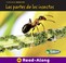 Cover of: Las Partes de Los Insectos