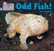 Cover of: Big Cat Phonics for Little Wandle Letters and Sounds Revised - Odd Fish!: Phase 3