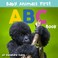 Cover of: Baby Animals First ABC Book