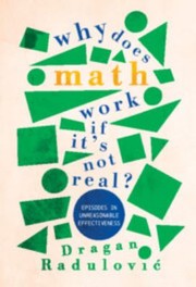Cover of: Why Does Math Work ... If It's Not Real? by Dragan Radulović, Dragan Radulović