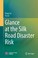 Cover of: Glance at the Silk Road Disaster Risk