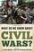 Cover of: What Do We Know about Civil Wars?