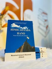 Cover of: Himiladaada Hano by Hiil Press