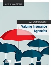 Cover of: What It's Worth: Valuing Insurance Agencies