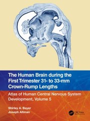 Cover of: Human Brain During the First Trimester 31- to 33-MM Crown-Rump Lengths: Atlas of Human Central Nervous System Development, Volume 5