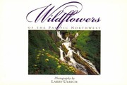 Cover of: Wildflowers of the Pacific Northwest: Twenty Postcards