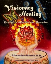 Front cover of Visionary Healing by Alexander Shester