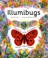 Cover of: Illumibugs